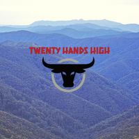 Hillbilly Heart by Twenty Hands High