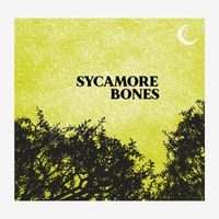 Lake Fever by Sycamore Bones