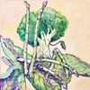 BROCCOLI, ASPARAGUS|original painting from Picture Cooking This