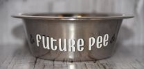 Future Pee/Poop Stainless Steel Bowls