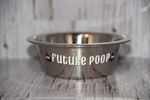 Future Pee/Poop Stainless Steel Bowls