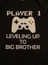 Levelling Up - Big Brother Onesies