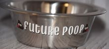 Future Pee/Poop Stainless Steel Bowls