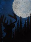 Deer in the Moonlight 