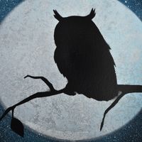 Owl in the Moonlight