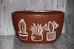 Cacti Planter