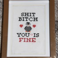 Sh*t Bitch, You Is Fine Cross Stitch