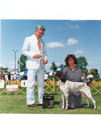 BISS CH Rising Star's White Rvier Debut, JH
