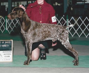 3 yrs Best of Breed on a Specialty Weekend
