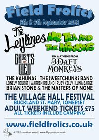 Brian Stone & The Masters Of None @ Field Frolics