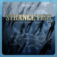 Strange Fish EP by Big Blue Car