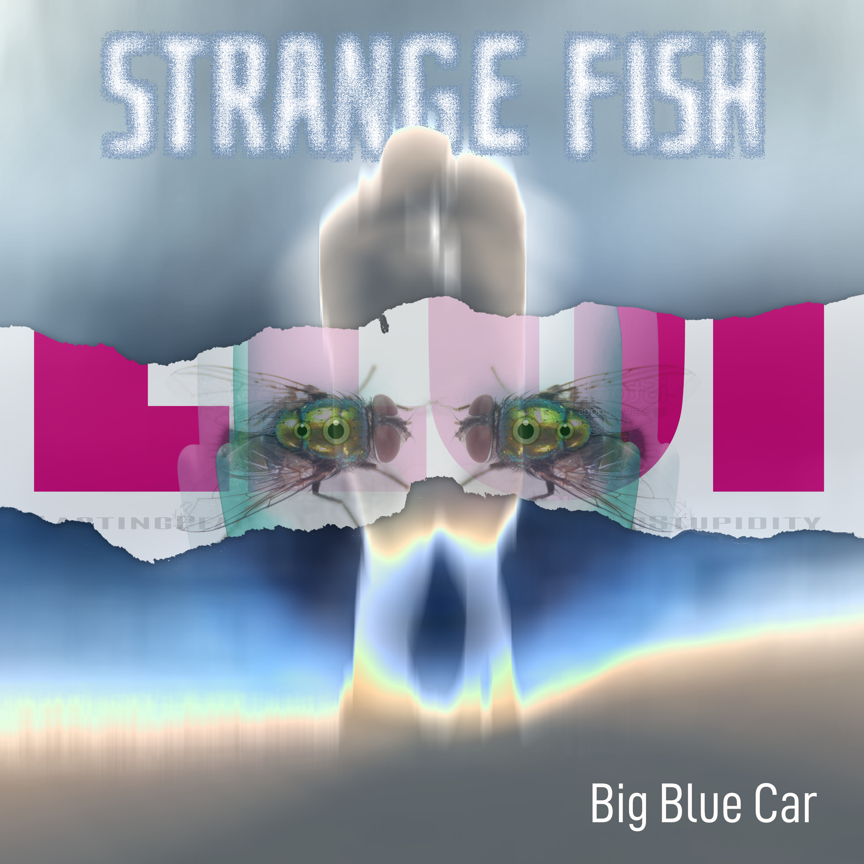Strange Fish EP Cover