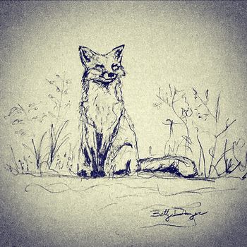 Sketchy Fox
