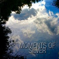 Moments of Silver by Sarah Levecque