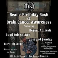 Beau's Birthday Bash & Brain Cancer Awareness