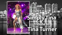 Karena Korokous, Singer-Songwriter performing as TINA TURNER - Tribute!