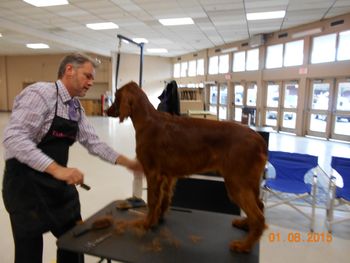 Getting some more grooming from his friend, Brian , before his first show.  He won his class!!
