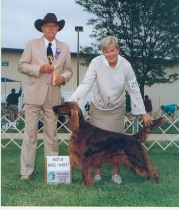 Just one of her many Best of Breed wins.
