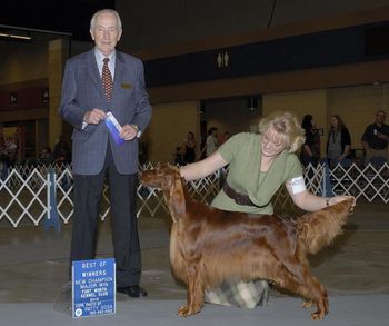 Coco is shown finishing her Championship with her 4th major! She finished so quickly that few people have seen her. She was the first from this litter to finish.
