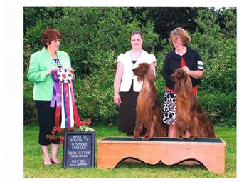 Kristopher going Best of Breed in Canada with his mom, Lexi, going winners bitch.
