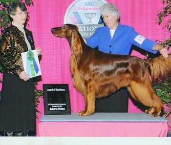 Show getting an Award of Excellence at the 2010 Eukanuba Shows in Long Beach, CA. Way to go!!
