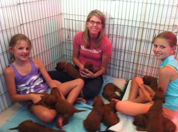 The Olson girls enjoying the pups at 3 1/2 weeks.
