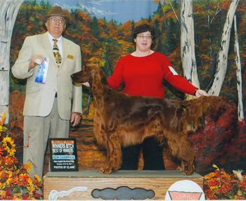 Akha took her second major to finish in Idaho. To our knowledge Sarah is the only person exhibiting an Irish Setter to finish from Amateur Owner Handler in the country this year. Super High 5!!! Job very well done.
