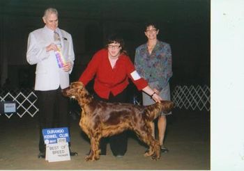 Akha won Best of Breed in Durango, then went on to a Group IV. What a thrill and job well done.
