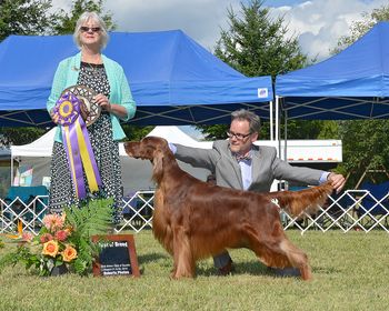 Best of Breed at one Specialty in Washington state.
