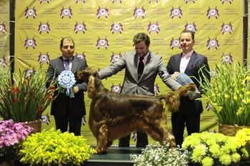 Pierce now has a Best In Show and Reserve Best In Show his first shows in Costa Rica!!

