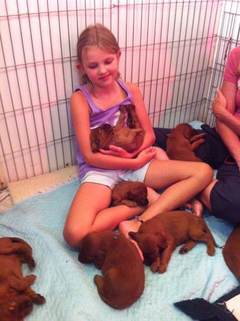 Granddaughter Grace has a pile of puppies!
