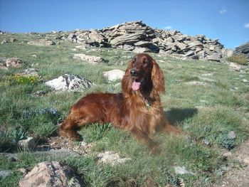 Tipper enjoying a hiking outing in Wyoming with the Brand family the summer of 2011.
