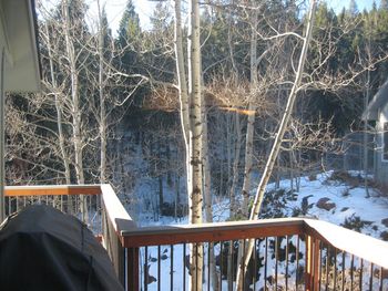 View from our kitchen and looking out toward the "kennel".
