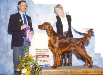 Sam was Winners Dog at the Irish Setter Club of Colorado as a young boy.
