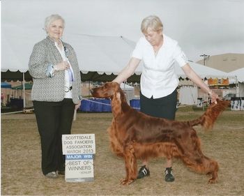 Treasure taking a major at the 2013 ISC Arizona show.
