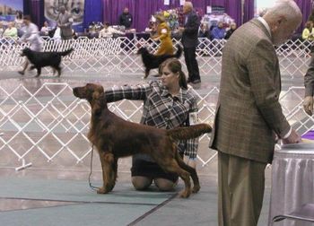 At a recent show at 10 months.
