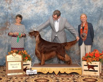 Getting An Award of Merit at the 2015 National
