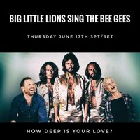 Big Little Lions play the Bee Gees