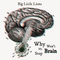 Why Won't My Brain Stop by Big Little Lions