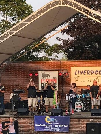 Johnson Park - Liverpool NY 2017
