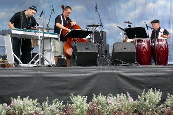 Trio Montuno at GrapeFest.
