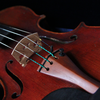 Violin Rental Fees
