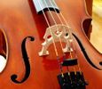 Cello Rental Fees 1/16-1/10