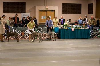 Sherman and I placing first in Hunting Dog class!
