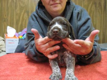 Cupid at 3 weeks
