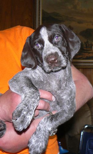 Orange Girl 6 Weeks
