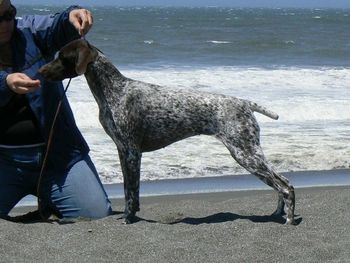 Echo at 2 on the beach
