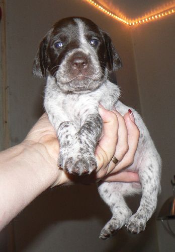 Orange girl 3 weeks
