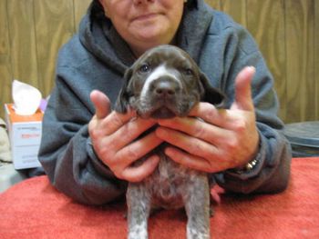 Sweetie at 3 weeks
