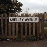 Shelley Avenue by The Womb